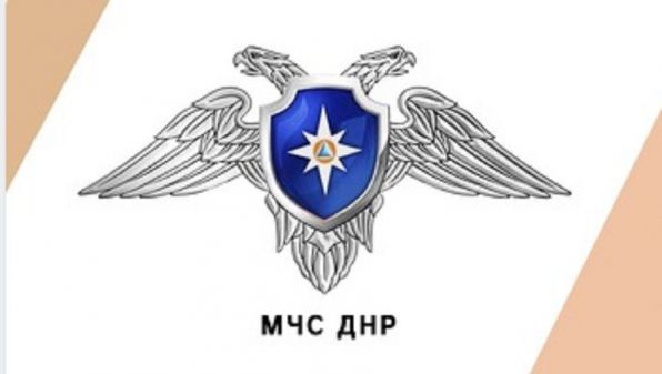 article16541.jpg