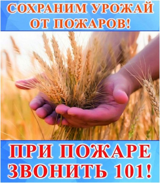 article16878.jpg