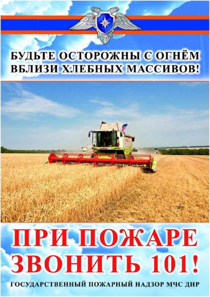 article16915.jpg