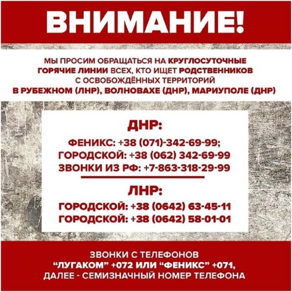 article16965.jpg
