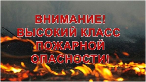 article17054.jpg