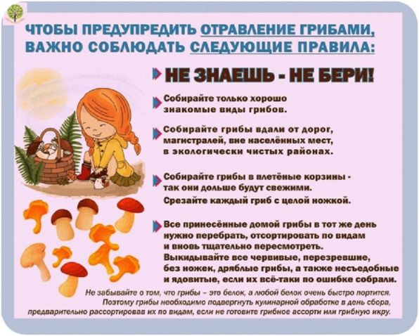 article17067.jpg