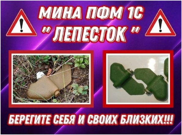 article17076.jpg
