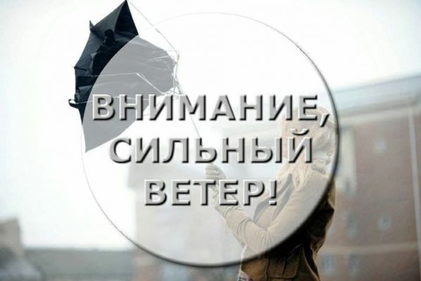 article17090.jpg