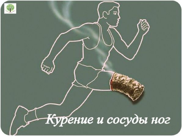 article17122.jpg
