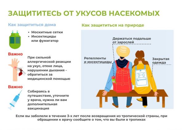 article27994.jpg