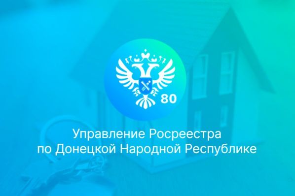 article29271.jpg