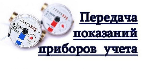 article31244.jpg