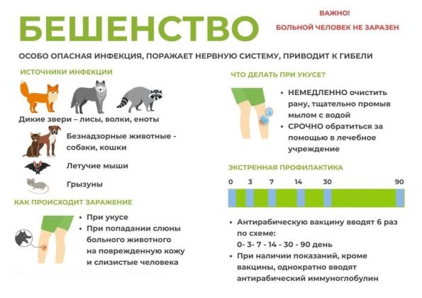 article31271.jpg
