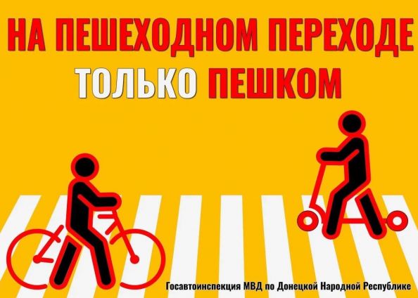 article31984.jpg