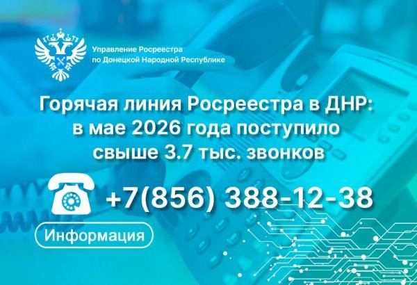 article31995.jpg