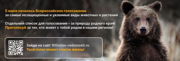 Стартовало голосование за живые символы страны