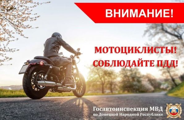 article32119.jpg