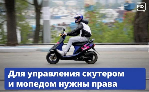 article32614.jpg