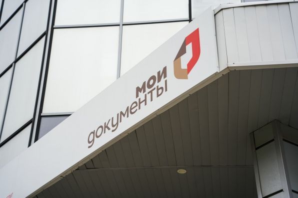 Горячая линия МФЦ ДНР: консультации по госуслугам и запись на приём