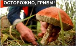 ����������� ���������� � ������������ ���������� �������