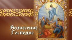 ���������� ���� �������� �� ���� ���� ����������� ��� � ������� � ������� ���������� � ����������� ���������!
