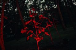 � ������� ��� ������� ����� 5 ����� ������� ����� � ������ � �������� �������
